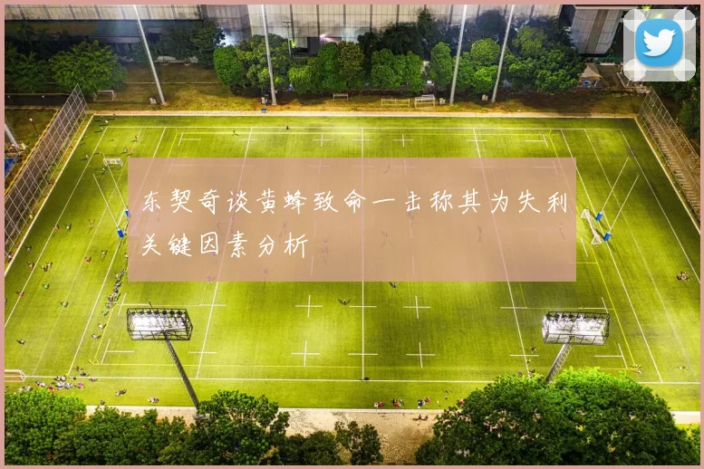 东契奇谈黄蜂致命一击称其为失利关键因素分析